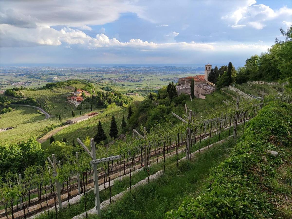 Il Glicine Rosa Hotel Parona di Valpolicella Ngoại thất bức ảnh